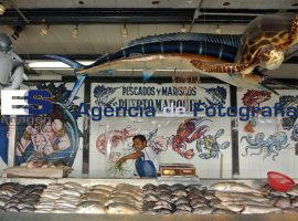 Sierra y Mojarra, lo más demandado en la cuaresma  - ES imagen agencia de fotografía