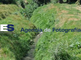 Rabanillo, foco de contaminación  - ES imagen agencia de fotografía