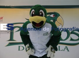 Presentan a los Pericos de Puebla - ES imagen agencia de fotografía