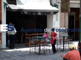 Sapos, la condesa fallida  - ES imagen agencia de fotografía
