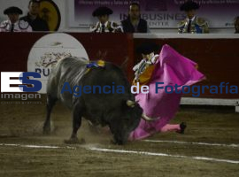Primera corrida de Feria 2014  - ES imagen agencia de fotografía