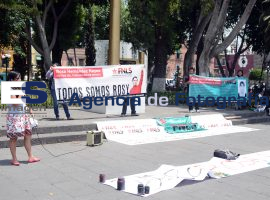 Normalistas, todos somos rosy  - ES imagen agencia de fotografía