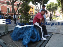 Convierten en macetas viejos árboles en el zócalo - ES imagen agencia de fotografía