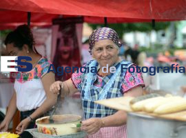 Feria del Mole 2014  - ES imagen agencia de fotografía