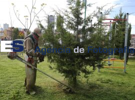 Arranque de programa de bacheo, poda y pinta de guarniciones. - ES imagen agencia de fotografía