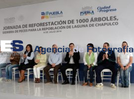 reforestación en el parque chapulco  - ES imagen agencia de fotografía