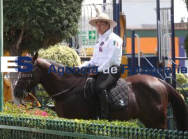Entrega de estímulos y patrulla en San Andrés Cholula - ES imagen agencia de fotografía
