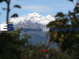 11 Feria de Tecnologías Forestales en Campo Experimental San Martinito - ES imagen agencia de fotografía