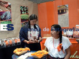 Inicia Cumbre Iberoamericana del café  - ES imagen agencia de fotografía