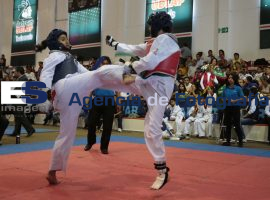 Selectovo Tae Kwon Do Puebla 2014 - ES imagen agencia de fotografía