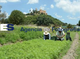 Tierras de San Andrés, no a la expropiación  - ES imagen agencia de fotografía