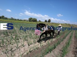 Avanza construcción del Gasoducto Morelos - ES imagen agencia de fotografía