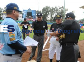 Cae Pericos 8-9 ante Tigres - ES imagen agencia de fotografía