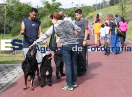 Caninatón 31-08-2014 - ES imagen agencia de fotografía