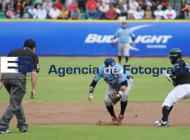 Gana Pericos de casa a los Tigres 31-08-2014 - ES imagen agencia de fotografía