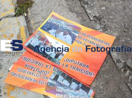 Propaganda en contra de Roxana Luna en elecciones del PRD - ES imagen agencia de fotografía