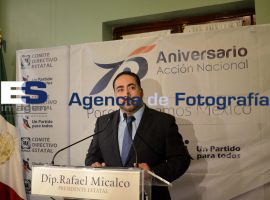Micalco, postura ante el regreso de Marin  - ES imagen agencia de fotografía