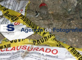 Acusan a Profepa de extorsionar a la OOSELITE - ES imagen agencia de fotografía