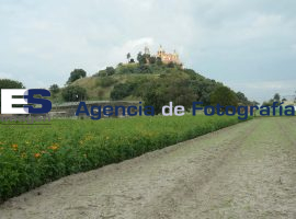 Opositoreas al parque, siguen la lucha por sus presos  - ES imagen agencia de fotografía