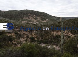 Reserva de la Biosfera Tehuacán-Cuicatlán 2014 - ES imagen agencia de fotografía