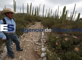 San Juan Raya, Biosfera Tehuacán-Cuicatlán 2014 - ES imagen agencia de fotografía