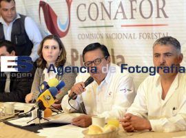 Aguilar Viveros y Mastretta - ES imagen agencia de fotografía