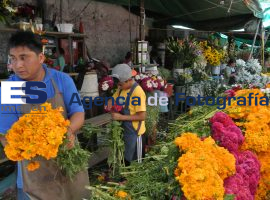 Panteón municipal Vendedores de flores 02-11-2014 - ES imagen agencia de fotografía
