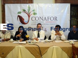 CONAFOR: fopro sobre manejor forestal   - ES imagen agencia de fotografía