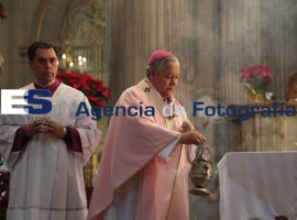 Misa dominical en catedral 14-12-2014 - ES imagen agencia de fotografía