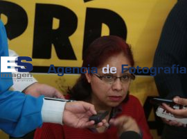 PRD no hará alianza para las elecciones de 2015 - ES imagen agencia de fotografía