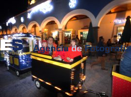 Enciende José Juan árbol navideño - ES imagen agencia de fotografía
