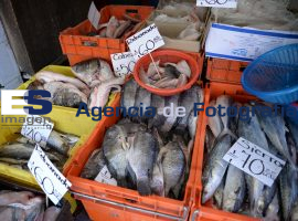 Mariscos, para navidad - ES imagen agencia de fotografía