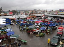 Mercado Hodalgo, muchos compradores - ES imagen agencia de fotografía