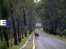Paseo Dominical en la XXV Zona Militar - ES imagen agencia de fotografía