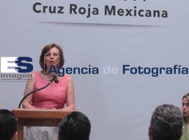 Entrega de Donativo a la colecta 2014  de la Cruz Roja - ES imagen agencia de fotografía