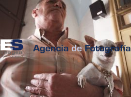 Macotas son bendecidas en el Templo de San Roque - ES imagen agencia de fotografía