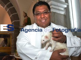 Celebración del patrono San Antonio Abad - ES imagen agencia de fotografía