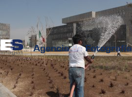 Centro Integral de Servicios - ES imagen agencia de fotografía