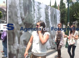Exposición Fotográfica los niños de México - ES imagen agencia de fotografía