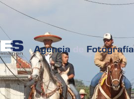 José Juan Celebra 20 de Noviembre en cabalgata - ES imagen agencia de fotografía