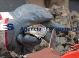Antojitos a la periferia del mercado 5 de Mayo - ES imagen agencia de fotografía