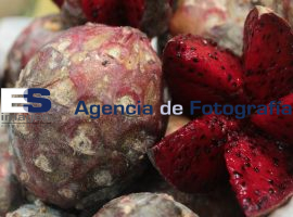 Mercado 5 de  Mayo - ES imagen agencia de fotografía
