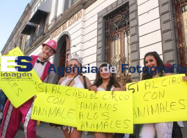 Manifestantes contra y a favor del uso de animales en circos - ES imagen agencia de fotografía