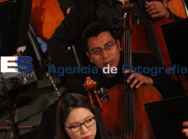 Broadway, homenaje al teatro musical  - ES imagen agencia de fotografía