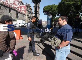 Demostracion de Unidad Canina k9 - ES imagen agencia de fotografía