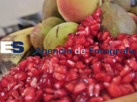 Apertura de Temporada de Chiles en Nogada por parte de CANIRAC - ES imagen agencia de fotografía