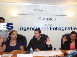 Comisión de Medio Ambiente - ES imagen agencia de fotografía