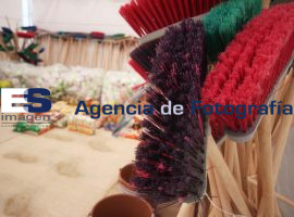 Casa  aguayo se suma para ser centro de acopio para los damnificados por el huracán "Odile" - ES imagen agencia de fotografía