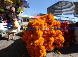 Venta de productos para ofrendas tradicionales  - ES imagen agencia de fotografía