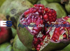 Ingredientes de época para  Chiles en  Nogada - ES imagen agencia de fotografía